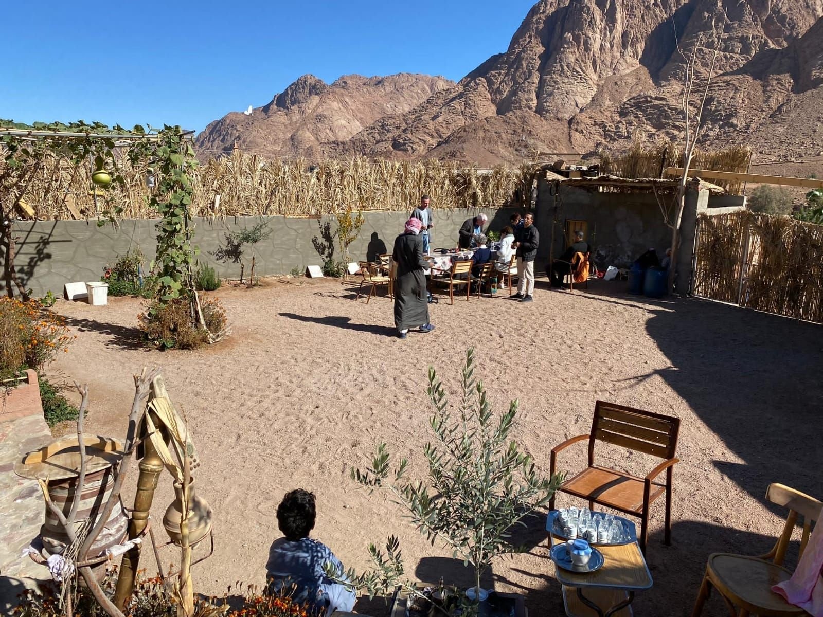 Super Quad: Desert Safari, Bedouin Dinner & Show