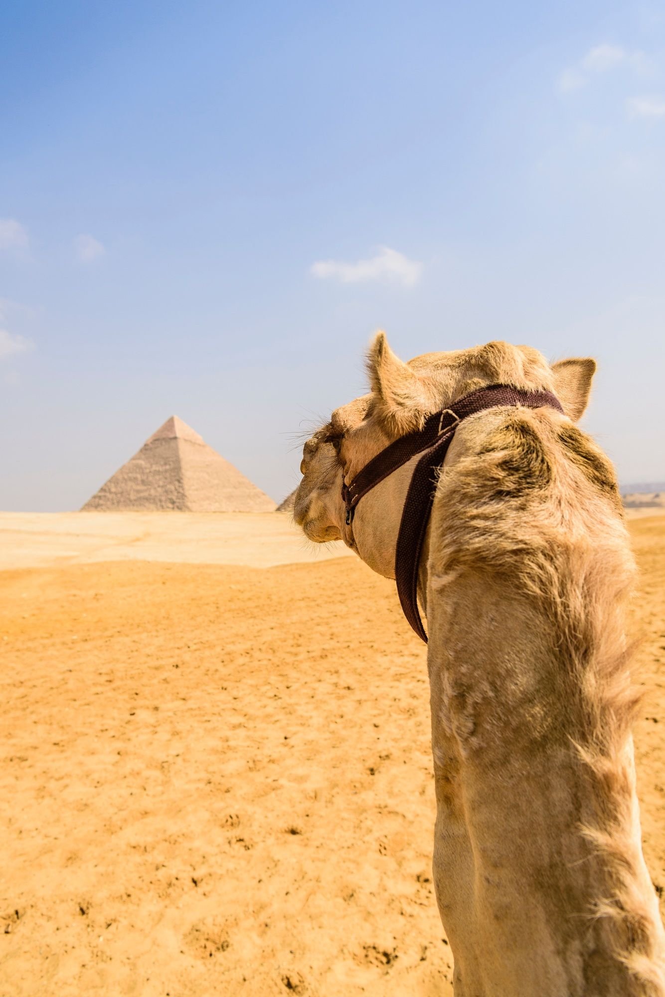 Cairo Overnight Excursion by Plane