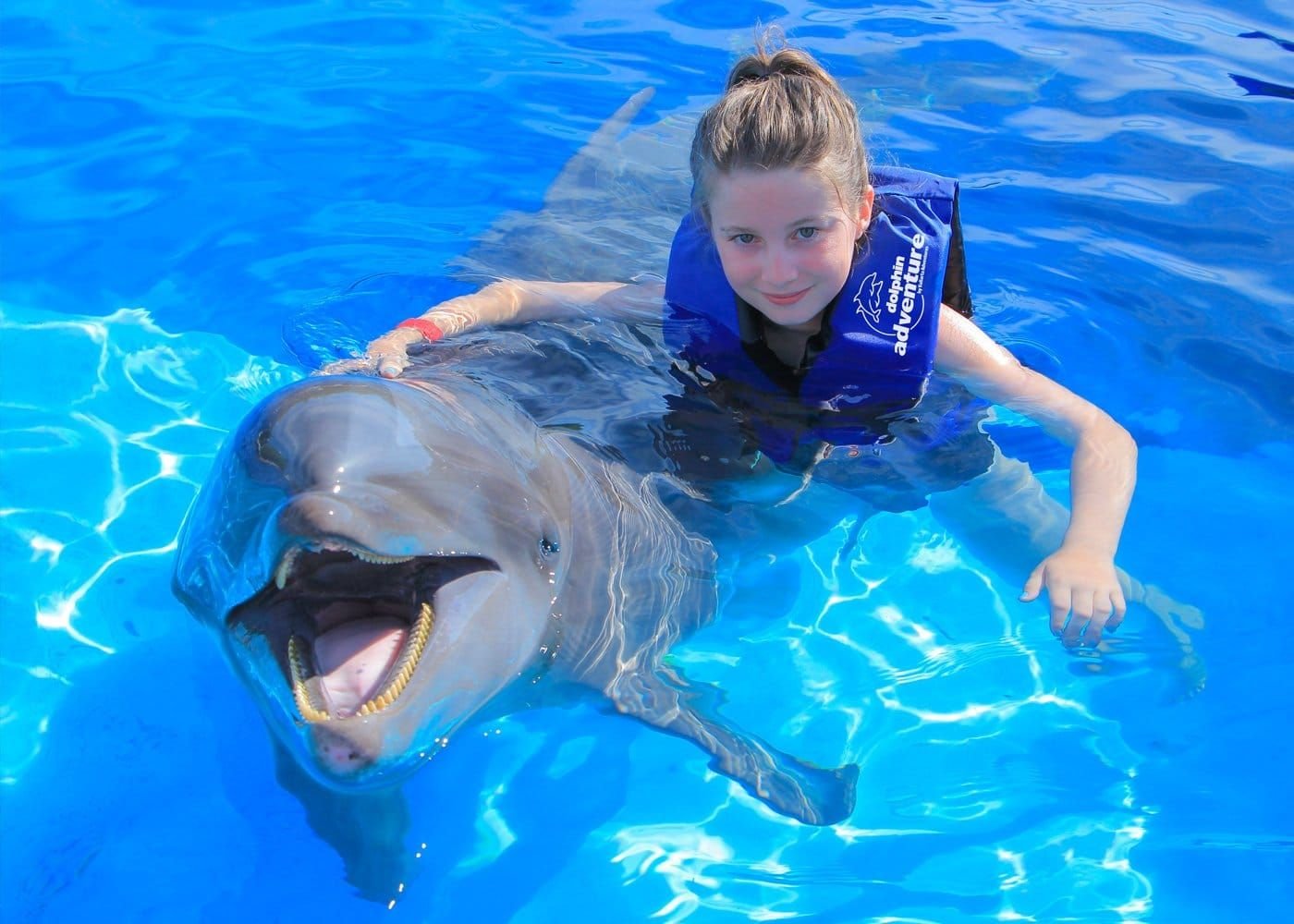 Swim with Dolphins: Interactive Dolphin Live Experience