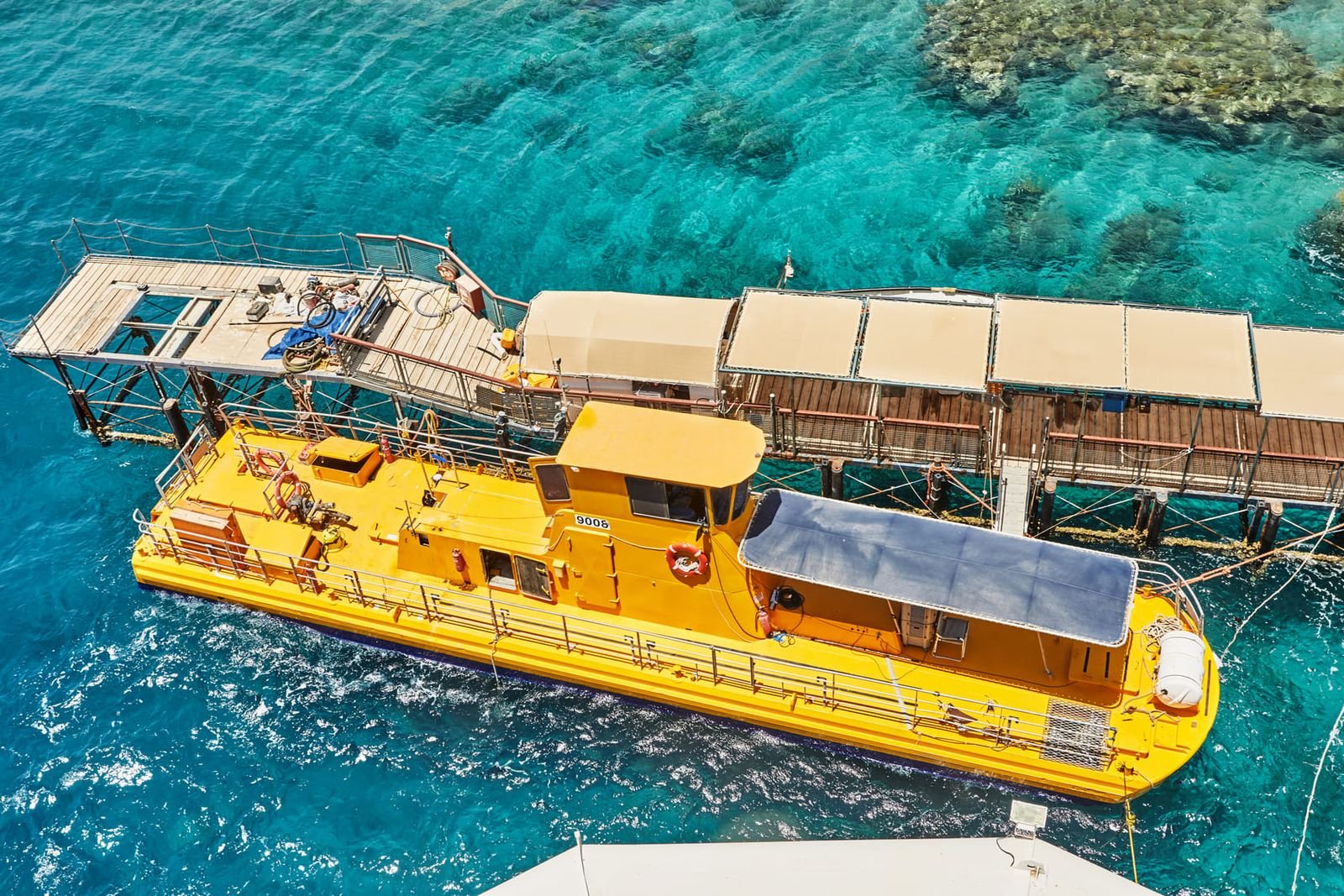 Glass-Bottom Boat Tour
