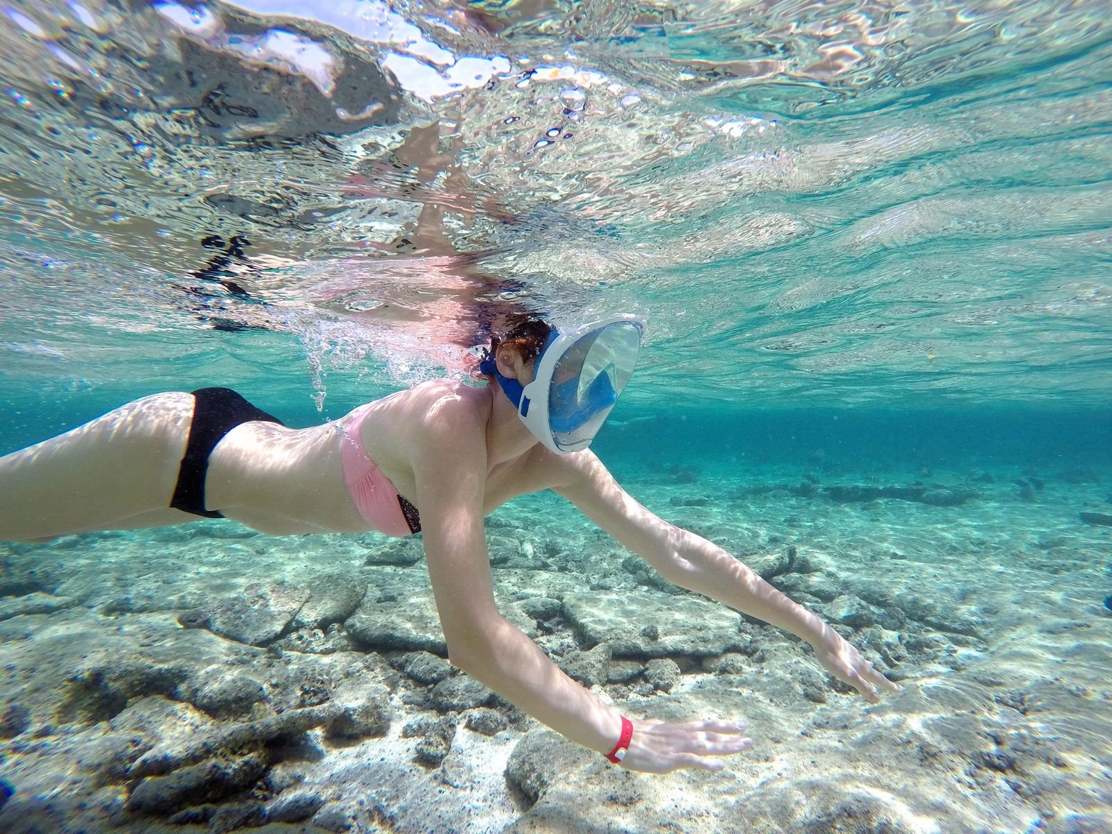 Ras Mohammed National Park & White Island by Boat