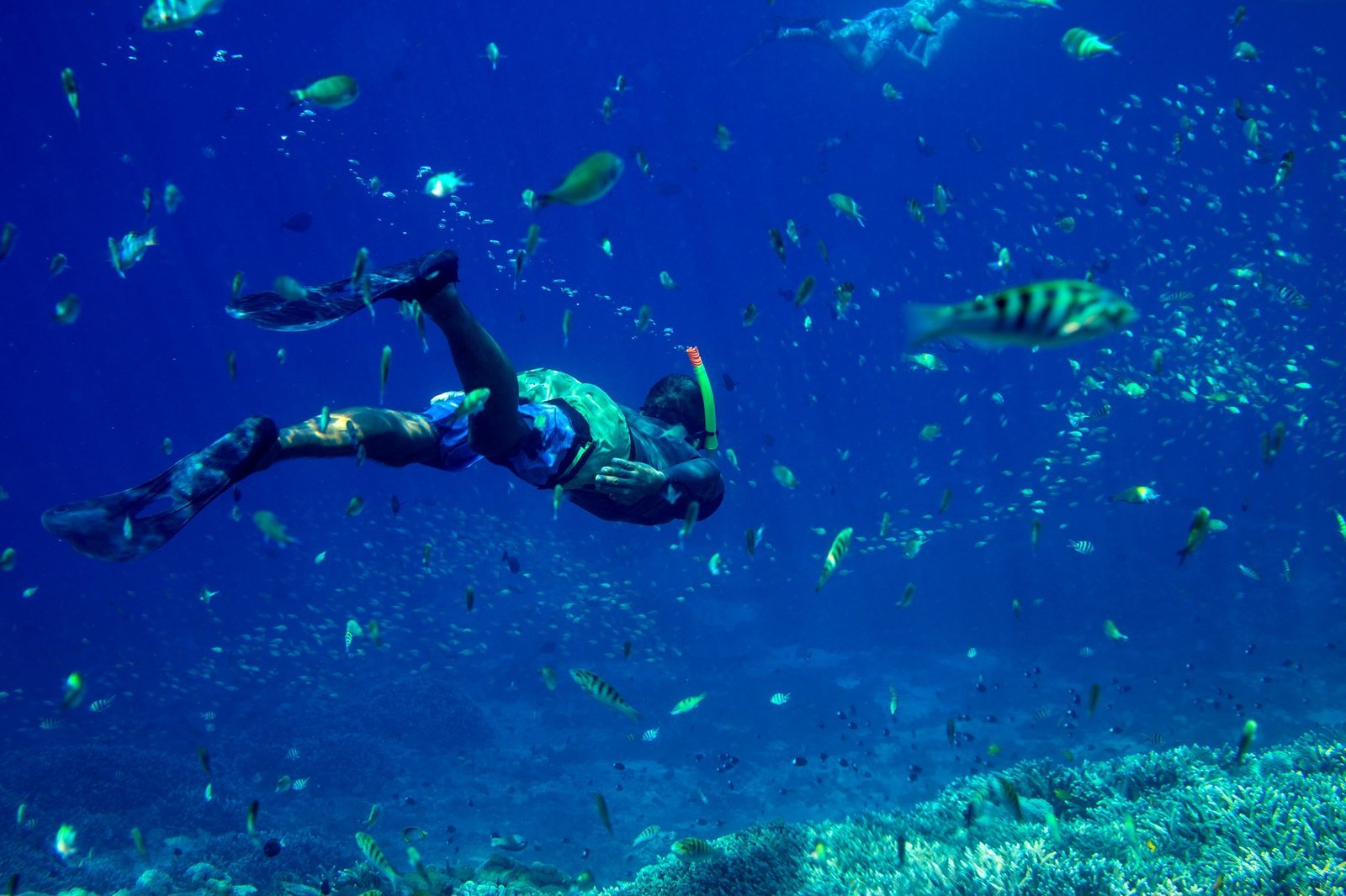 Tiran Island Snorkeling Cruise